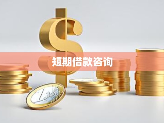 短期借款咨询