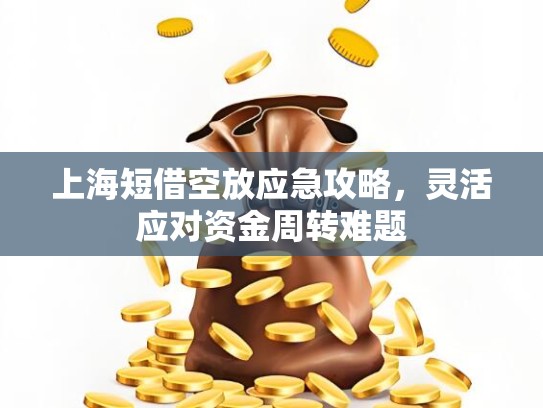 上海短借空放应急攻略，灵活应对****难题