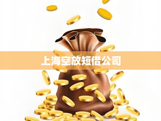 上海空放短借公司