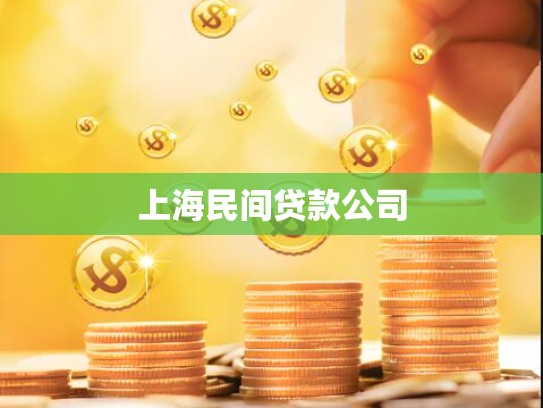 上海民间贷款公司