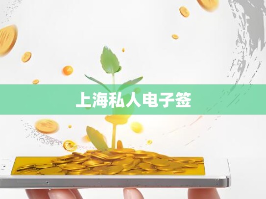 上海私人电子签