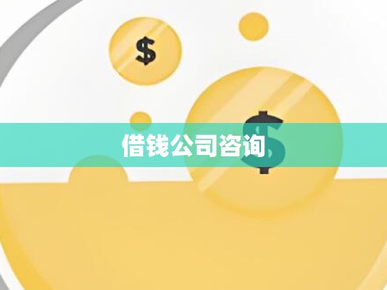 借钱公司咨询
