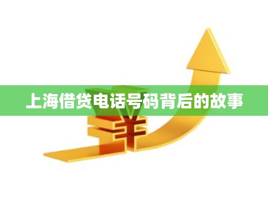 上海借贷电话号码背后的故事