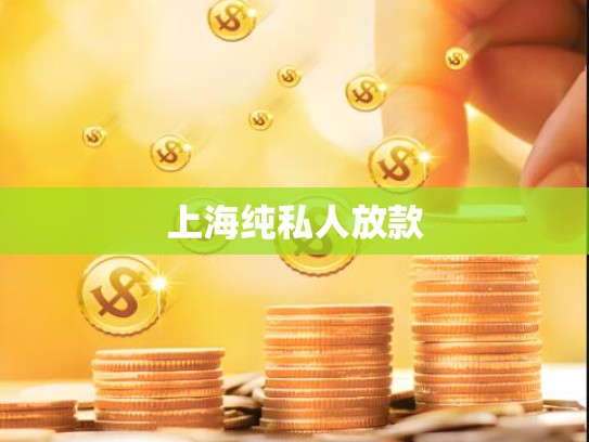 上海纯私人放款
