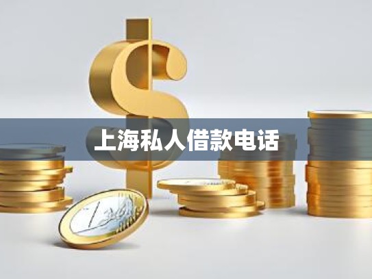 上海私人借款电话