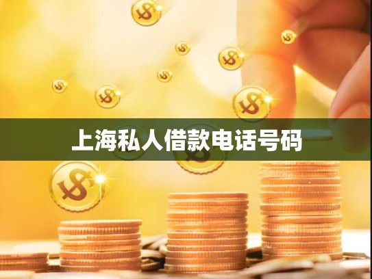 上海私人借款电话号码