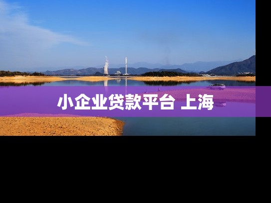 小企业贷款平台 上海