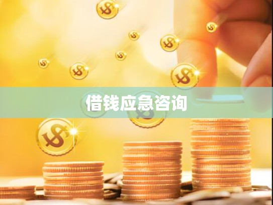 借钱应急咨询
