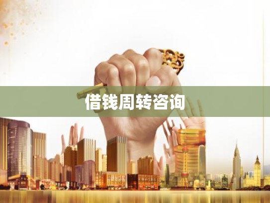 借钱周转咨询
