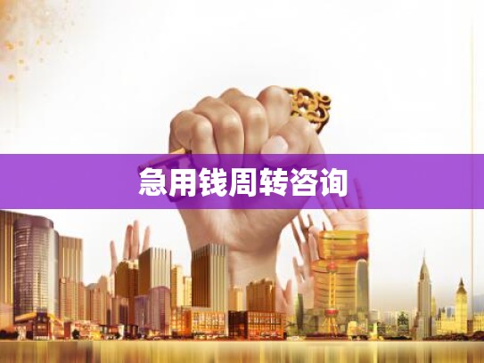 急用钱周转咨询
