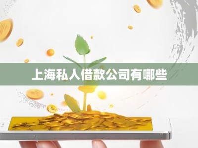 上海私人借款公司有哪些