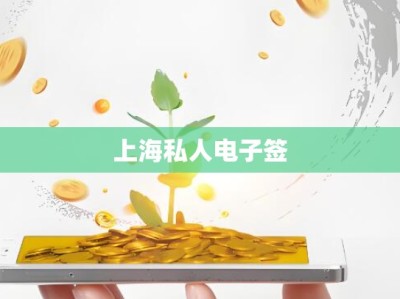 上海私人电子签