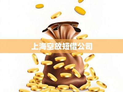 上海空放短借公司