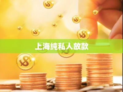 上海纯私人放款