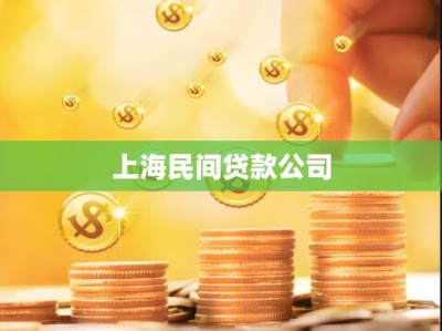 上海民间贷款公司