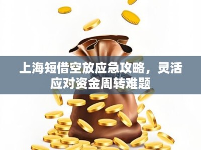 上海短借空放应急攻略,灵活应对资金周转难题