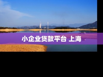 小企业贷款平台 上海